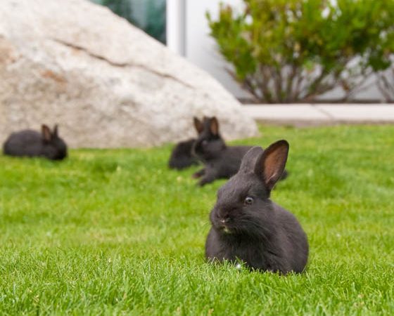 8 Ways to Do Easter Weekend in Ottawa