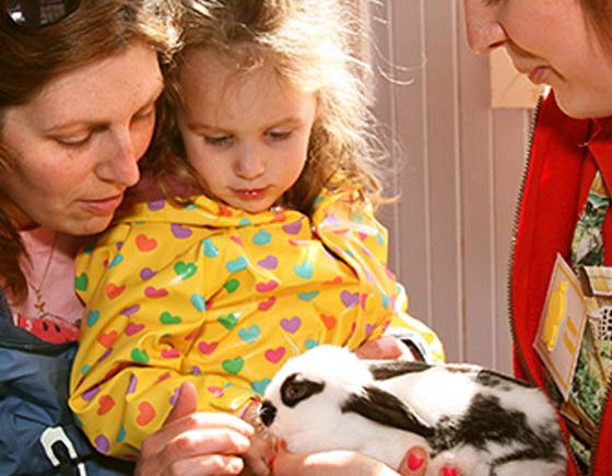 Pet the Bunnies