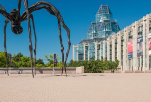 Gorgeous Fall Photo Opps in Ottawa