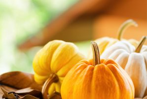 Best of the Bloggers' Thanksgiving Recipes