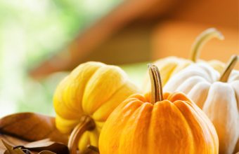 Best of the Bloggers' Thanksgiving Recipes