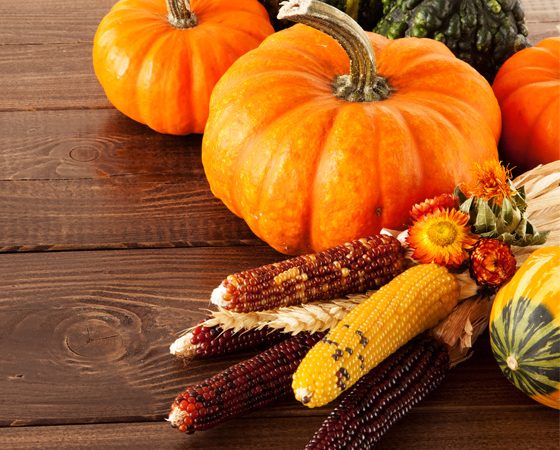 Best of the Bloggers' Thanksgiving Décor Ideas