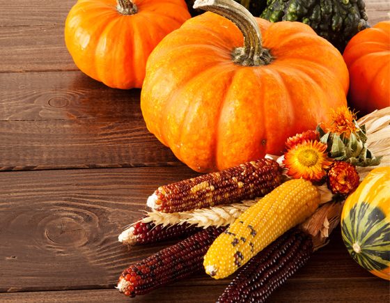 Best of the Bloggers' Thanksgiving Décor Ideas