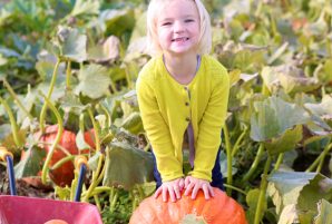 Perfect Pumpkin Patches in Toronto