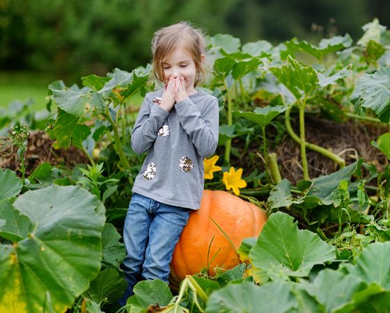 What to Do Thanksgiving Weekend in Vancouver