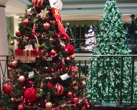 Festival of Trees