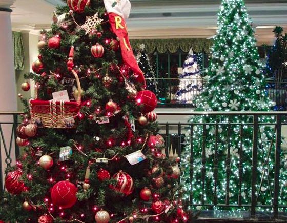 Festival of Trees