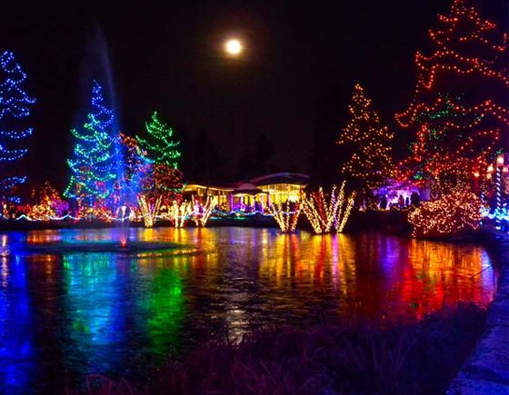 The Festival of Lights at VanDusen Botanical Gardens