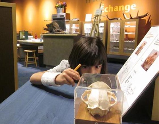 Museum of Nature