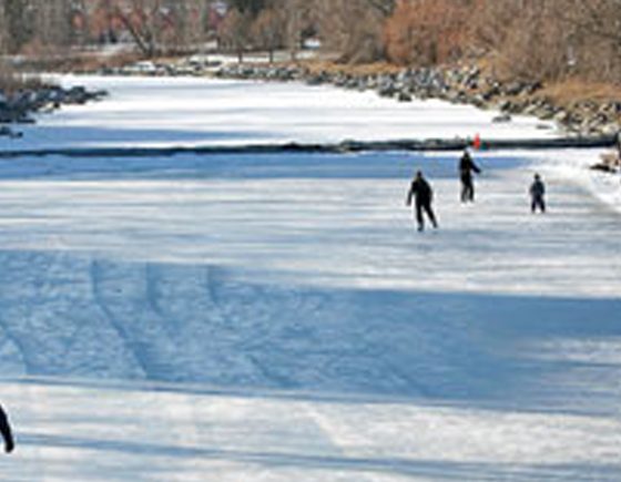 Head to an Outdoor Rink