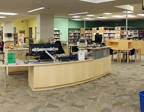 Celebrate Family Literacy Day at the Library