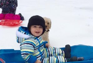 8 Great Toboggan Hills in Calgary
