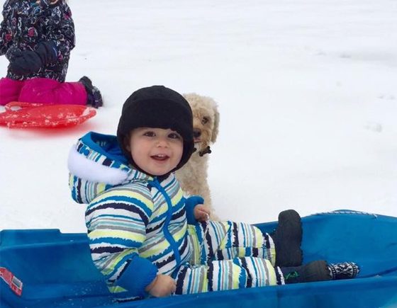 8 Great Toboggan Hills in Calgary