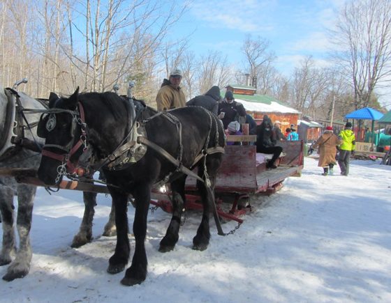 Family Day at Fulton's