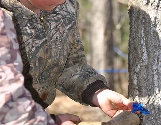 Sunderland Maple Syrup Festival: April 1-2