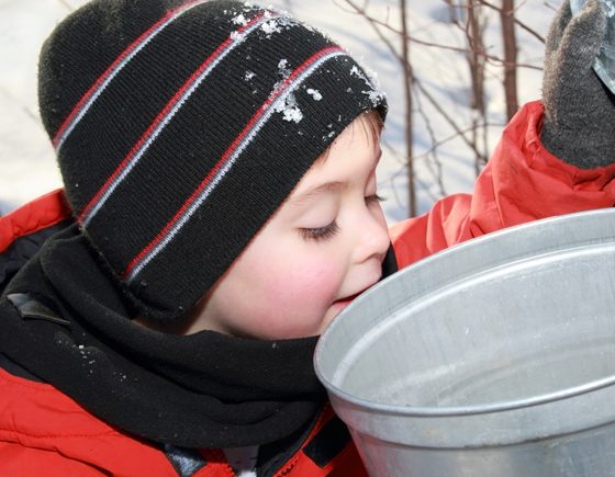 Tiffin Centre for Conservation: Nottawasaga