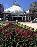 TorontoGardens