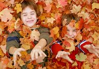 BoysFallLeaves