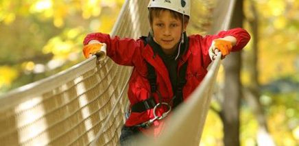 ziplines_and_aerial_courses_for_kids_in_toronto