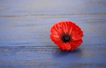 talking_to_kids_about_remembrance_day