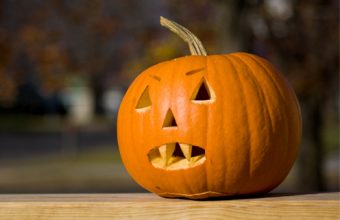 5_Ways_to_Reuse_and_Recycle_Your_Pumpkins