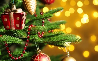 christmas_tree_holiday_436_213