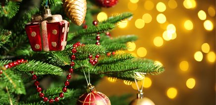 christmas_tree_holiday_436_213