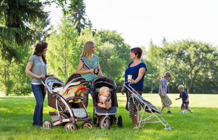 Moms Talking in Park with children