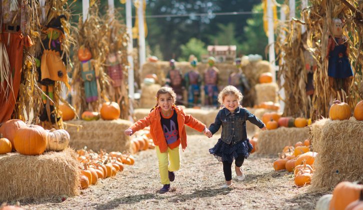Kids Running in Pumpkin Patch