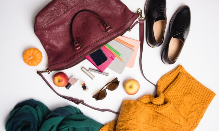 SavvyMom Purse Essentials