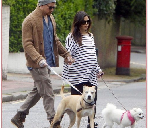 Channing Tatum & Jenna Walk Their Dogs