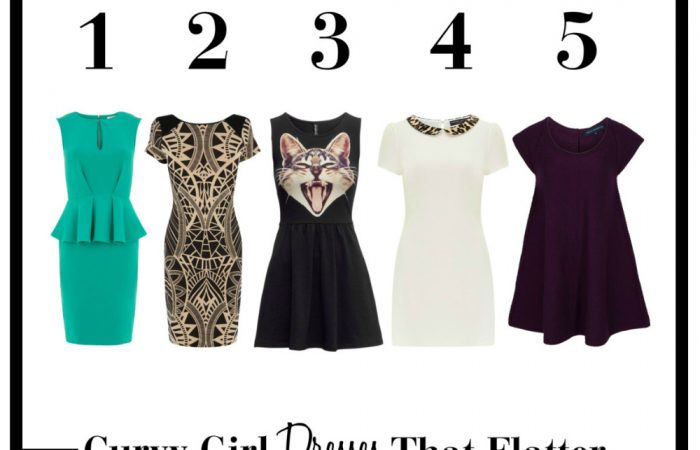 CurvyGirlDressesThatFlatterHEADER