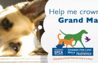 OSPCA-Grand-Marshall-Contest-Facebook-Banner-780x288