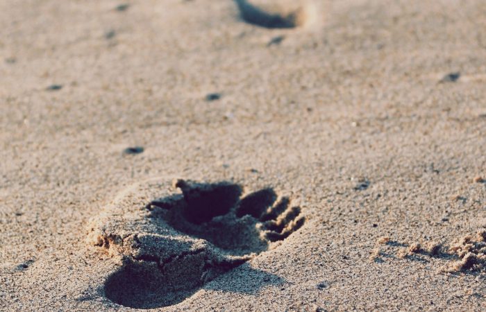 footprints-sand-beach-first-steps