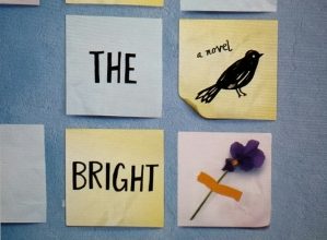 Cover.All-the-Bright-Places