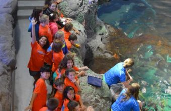 UM_RipleysAquarium_3-518x780