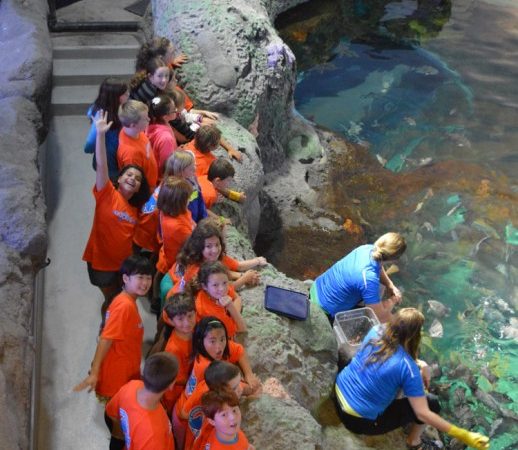 UM_RipleysAquarium_3-518x780