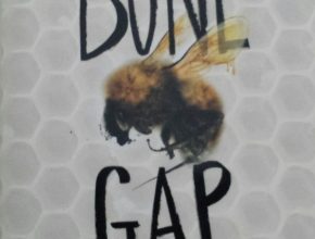 Cover.Bone-Gap
