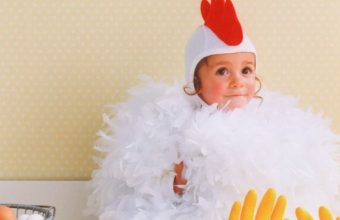 Baby-Chicken-910x610