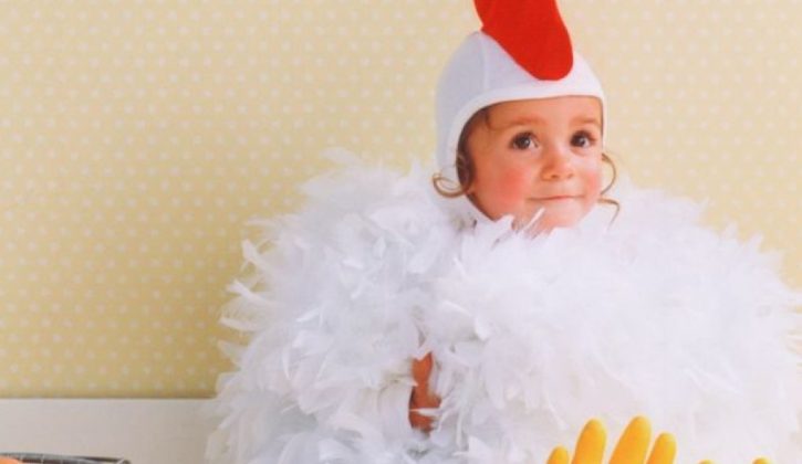 Baby-Chicken-910x610