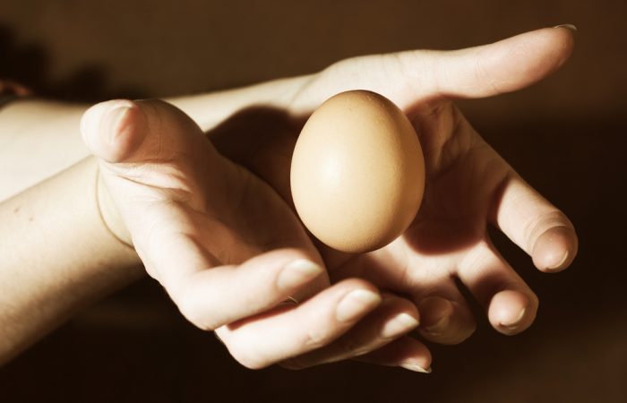 Catching an Egg