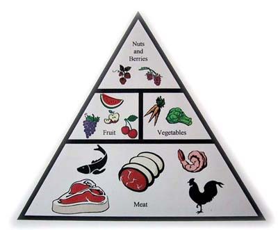 zone-paleo-food-pyramid1