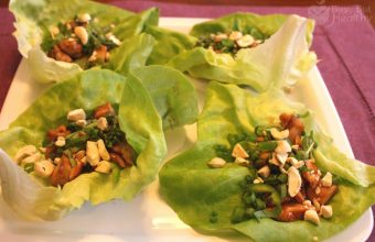 hoisin-chicken-lettuce-wraps_2-Copy