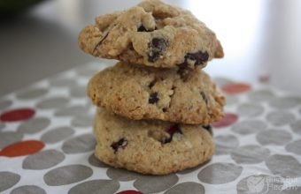 flourless-chocolate-chip-cranberry-cookies-Copy