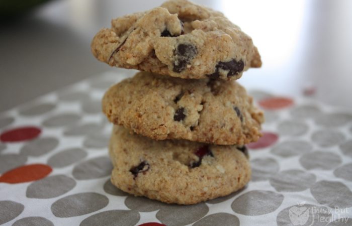 flourless-chocolate-chip-cranberry-cookies-Copy