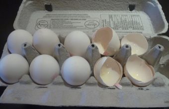 eggsgreeneggs