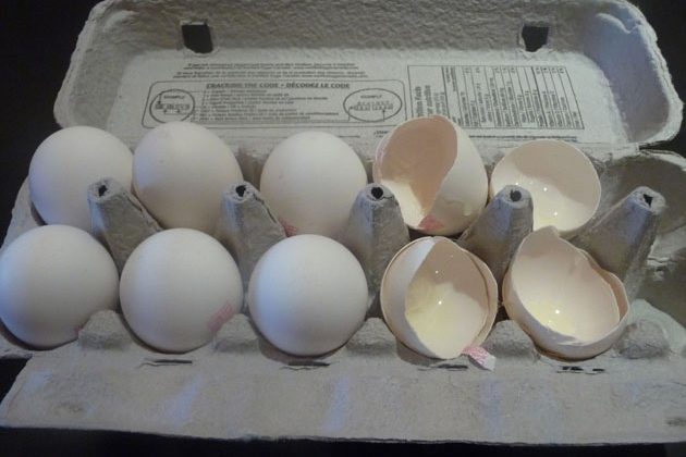 eggsgreeneggs