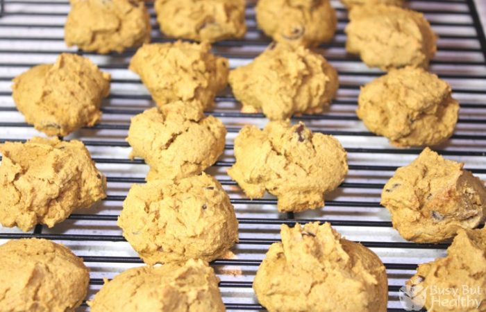 pumpkin-chocolate-chip_e-Copy