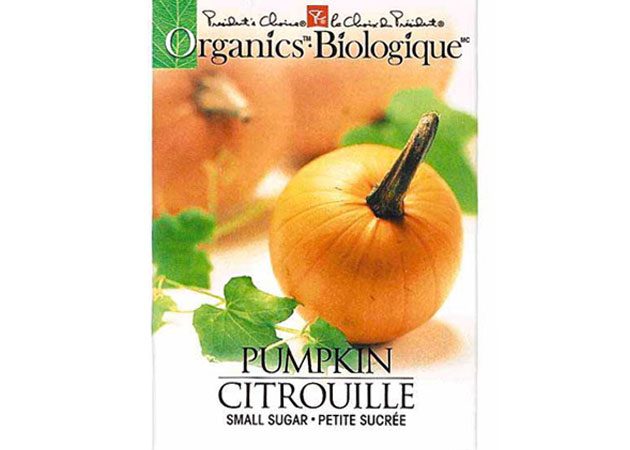 pumpkin-1