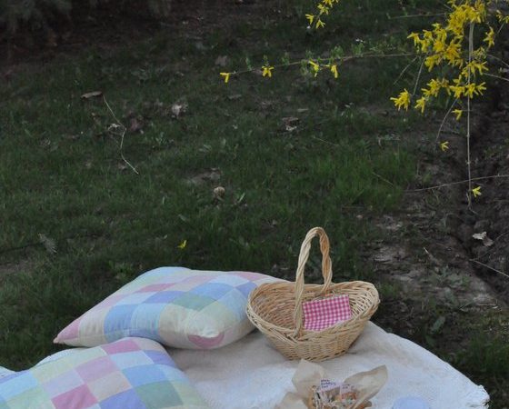 mothersdaypicnic6